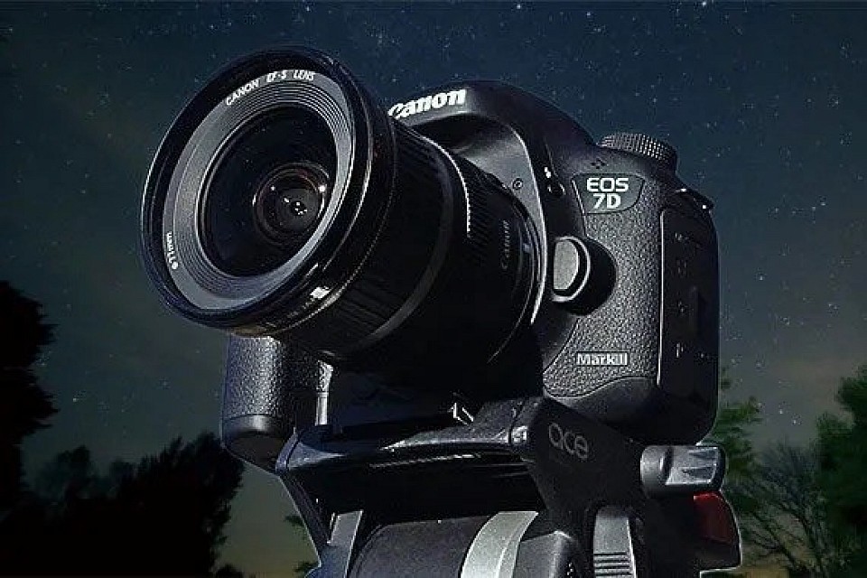7d