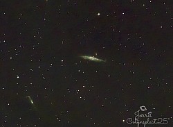 C 32