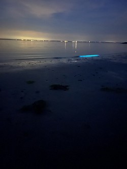 Colijnsplaat