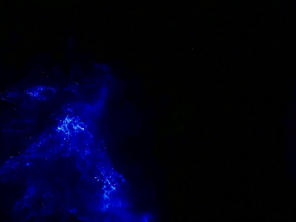 Zeevonk Colijnsplaat Vooral tijdens zwoele zomeravonden kan de zee gaan lichten op plekken waar het water beweegt, zoals in de golven. Dat is heel bijzonder om te zien! Op het natte zand zie je de zeevonkjes als helder lichtblauwgroene puntjes. Het  licht wordt veroorzaakt door zeevonk, een bolvormig, ééncellig organisme. Als zeevonk heftig wordt bewogen zorgt een chemische reactie ervoor dat hij licht gaat uitstralen. Het oplichten is bedoeld om vijanden af te schrikken. Bij ruw weer gaat de zeevonk naar rustiger, dieper water.