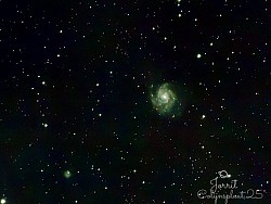 Galaxy