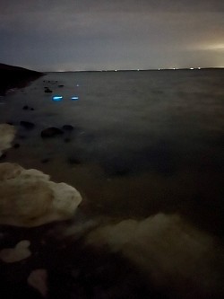 Zeeland