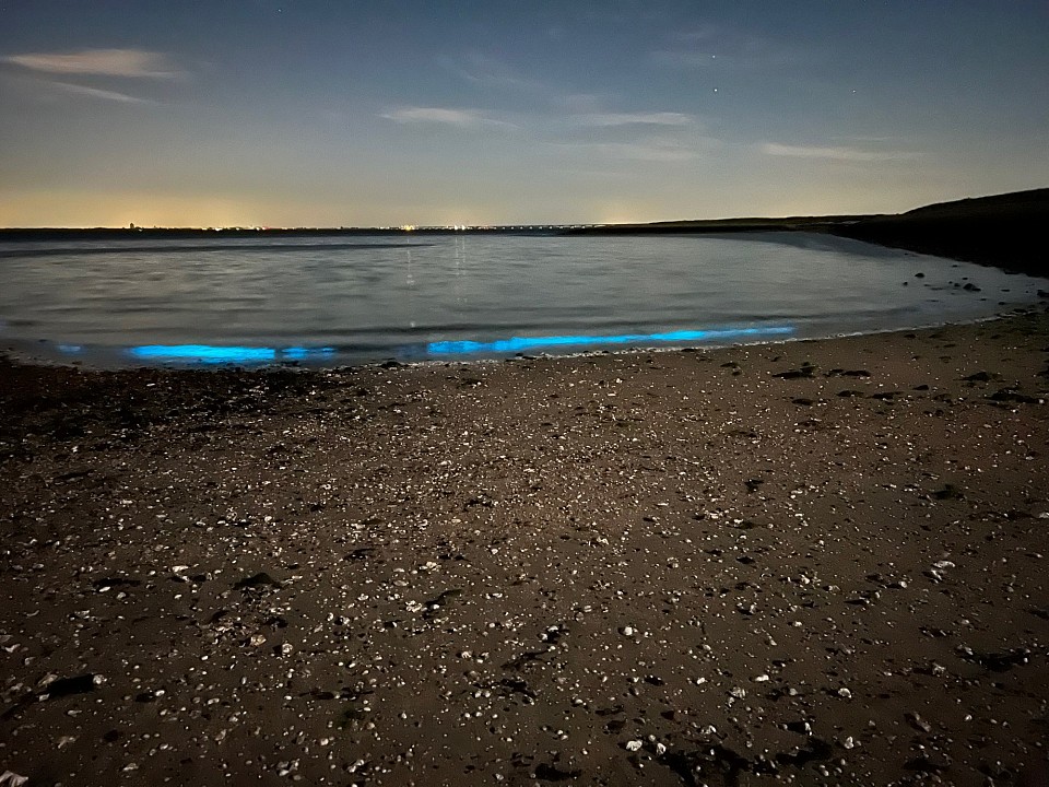 Strand Orisant Colijnsplaat