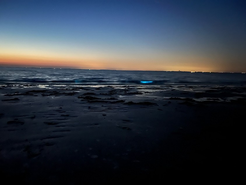 Strand Colijnsplaat