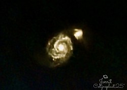 gulf of mexico nebula