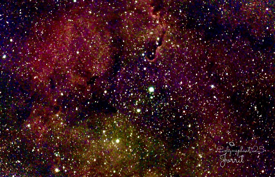 The Elephant's Trunk Nebula (IC 1396A)