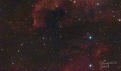 Pelican nebula