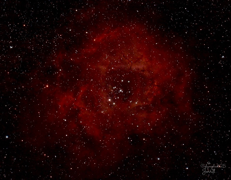 De Rosettenevel of Rozetnevel