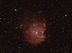 Monkeyhead Nebula