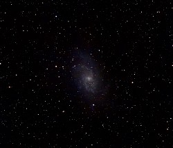 M33
