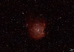 Monkeyhead Nebula