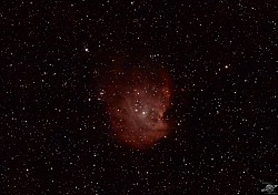 Monkeyhead Nebula