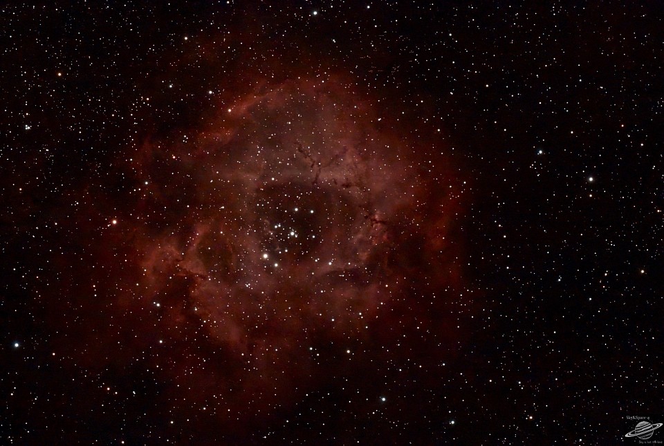Rosette Nebula