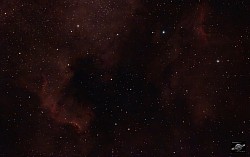 Pelican nebula